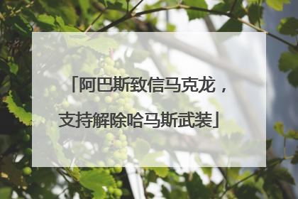阿巴斯致信马克龙，支持解除哈马斯武装